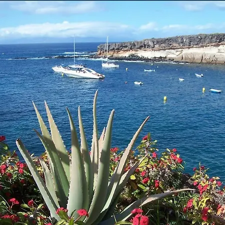 Playa Paraiso Daire
